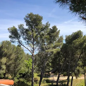 T3 Avec Grande Terrasse Et Jardin Sur Les Hauteurs De Appartement Martigues